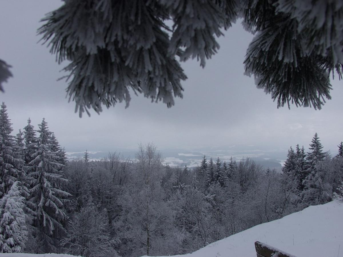 Steiner Wirt Hotel ทีเฟนบาค ภายนอก รูปภาพ